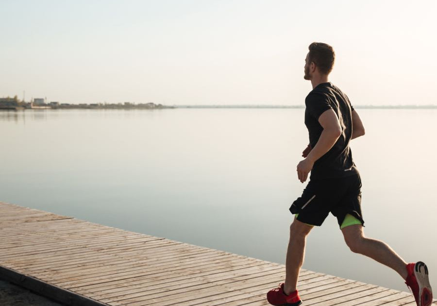 Candida and Gut Dysbiosis Accelerate Heart Disease