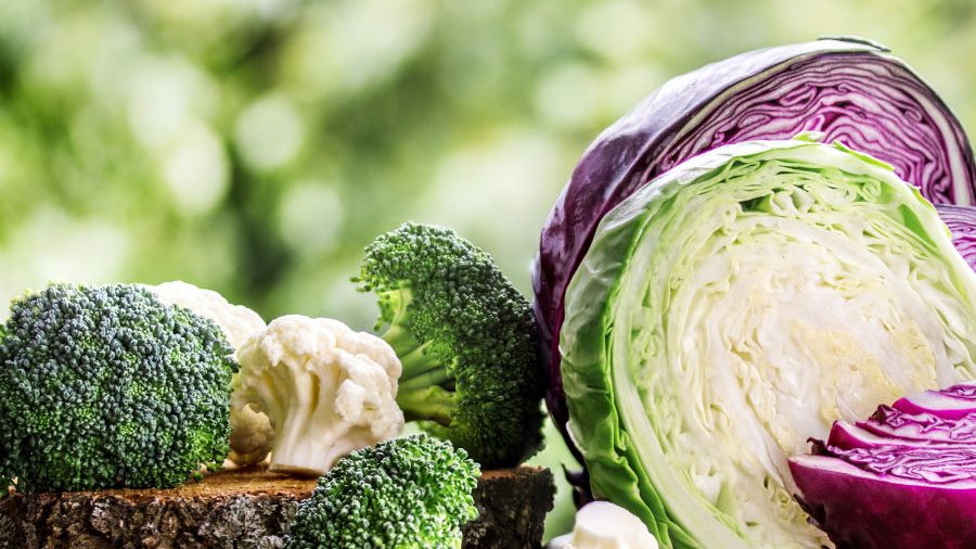 I3C and DIM for Metabolism, Detoxification, Brain Health and Healthy Aging