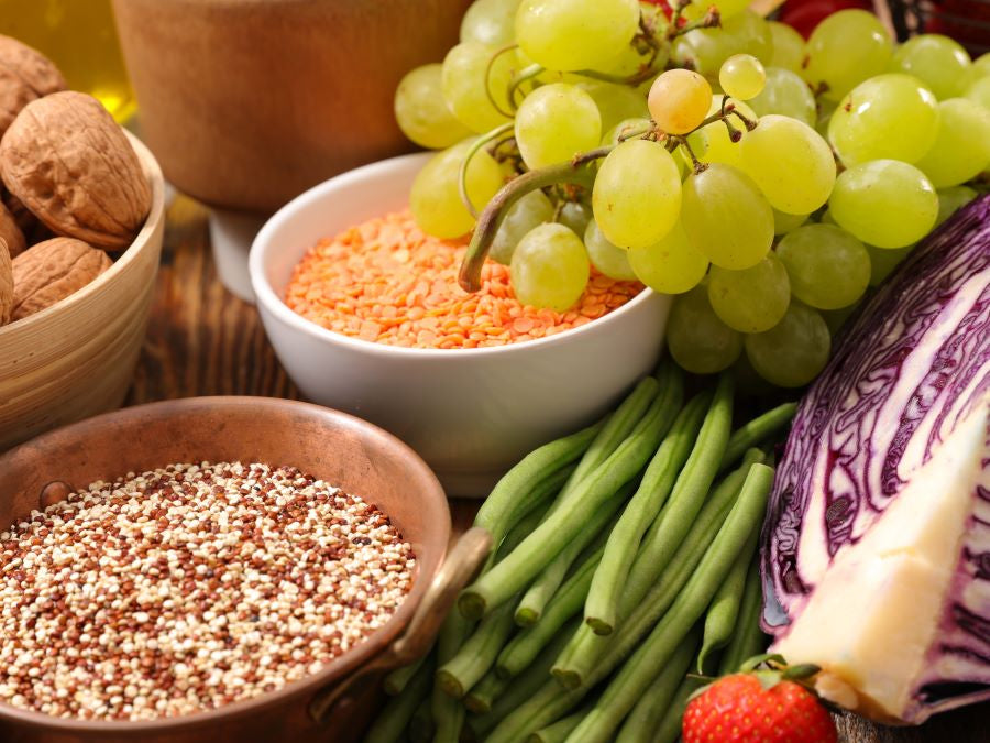 Optimizing Gut Health: A Comprehensive Guide to Bowel Motility
