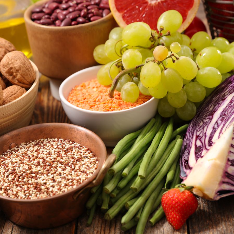 Optimizing Gut Health: A Comprehensive Guide to Bowel Motility