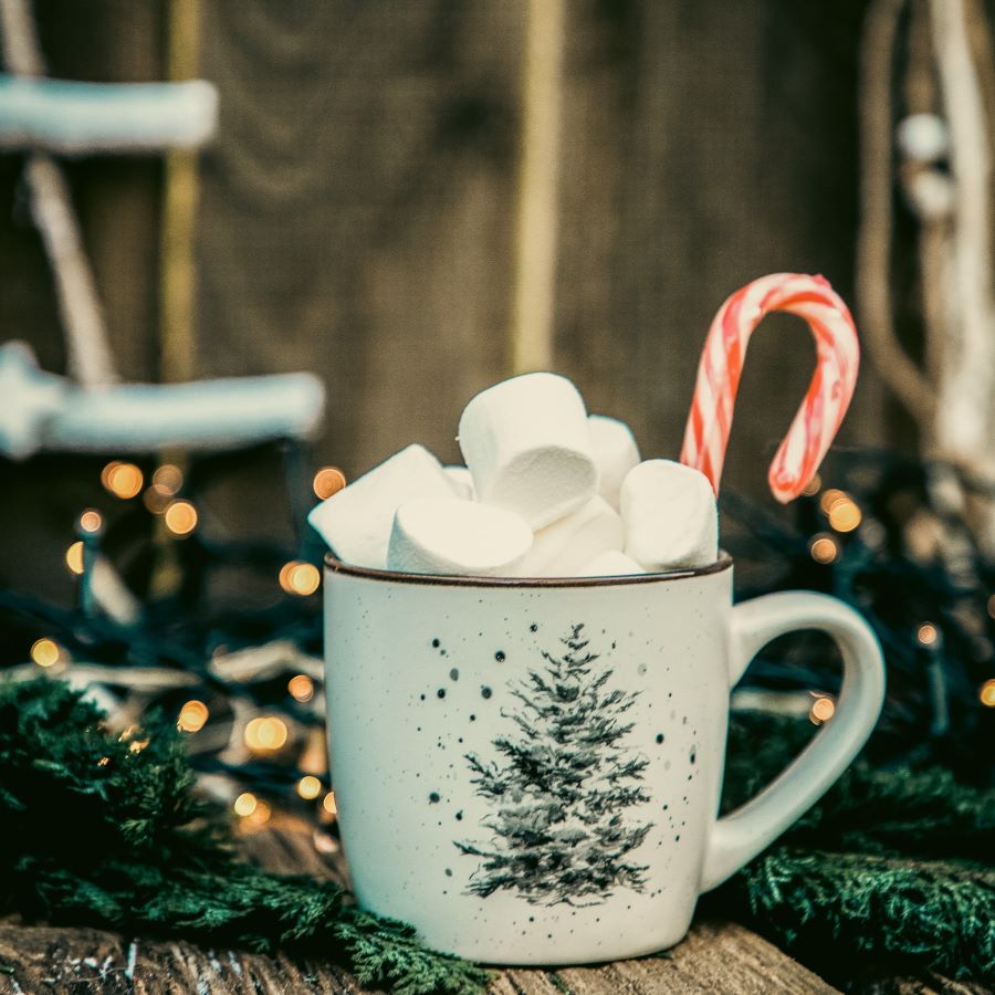 Sugar Shock: How Sweet Treats Sabotage Your Immune System