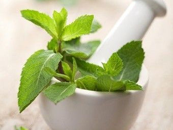 Top 3 Benefits of Oregano Oil