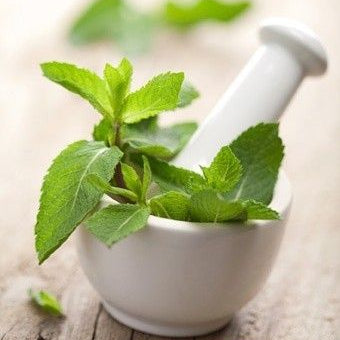 Top 3 Benefits of Oregano Oil