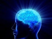 Food Pyramid Found Guilty