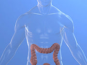 Do You Have Sick Fat?