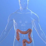 Do You Have Sick Fat?