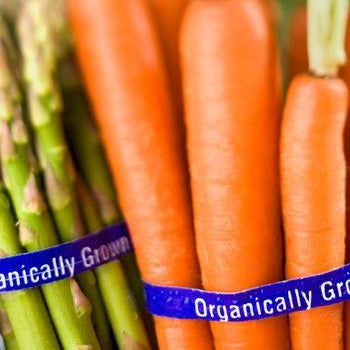 Dirty Dozen 2018: Key Foods to Buy Organic Right Now