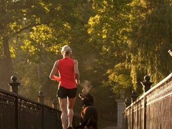 Elevated Leptin, Autoimmune Disorders, and Chronic Inflammation