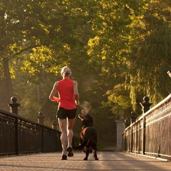 Elevated Leptin, Autoimmune Disorders, and Chronic Inflammation