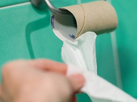 Gut Motility: Fundamentals to Master for Metabolism, Weight Management, and Gut Health