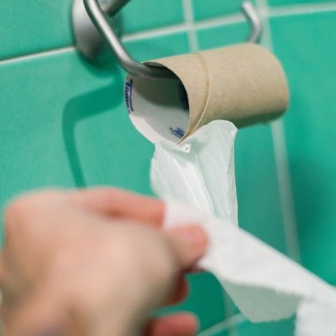 Gut Motility: Fundamentals to Master for Metabolism, Weight Management, and Gut Health