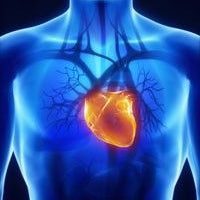 Blood Sugar Affects Heart Rhythm