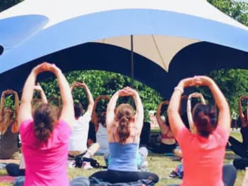 Thyroid and Muscle Health Linked