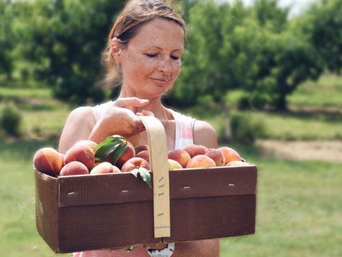 MTHFR Gene Defects, Methylation, and Natural Support