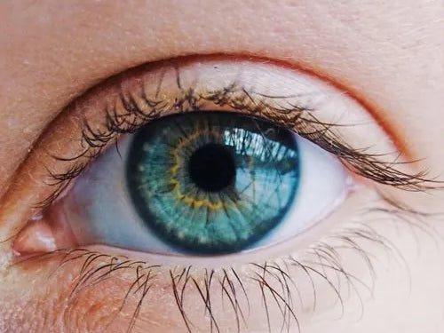 Eye Health and Gut Health Linked