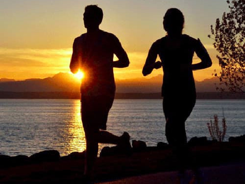 Type II Collagen Supports Joints and Repair