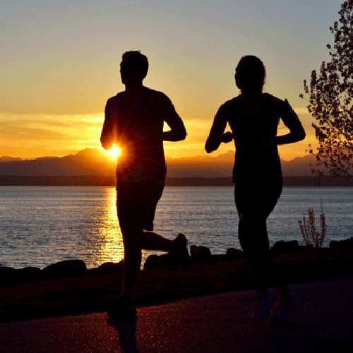 Type II Collagen Supports Joints and Repair