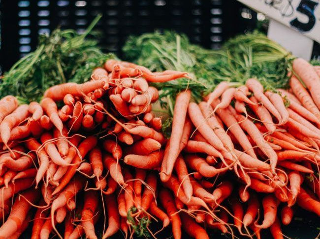 Vitamin A – An Essential Nutrient for Immune, Respiratory, and Gut Health