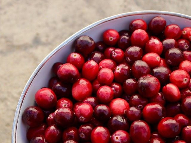 Introducing Vital UT with Cranberry, D-Mannose, Mangosteen, and Friendly Flora