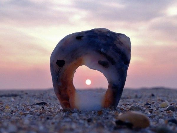 Glutathione and Vitamin D: A Powerful Essential Connection