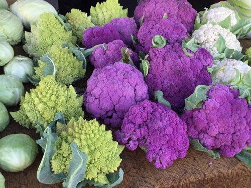 I3C+DIM Provide Powerful Cell Protection and Xenobiotic Detoxification