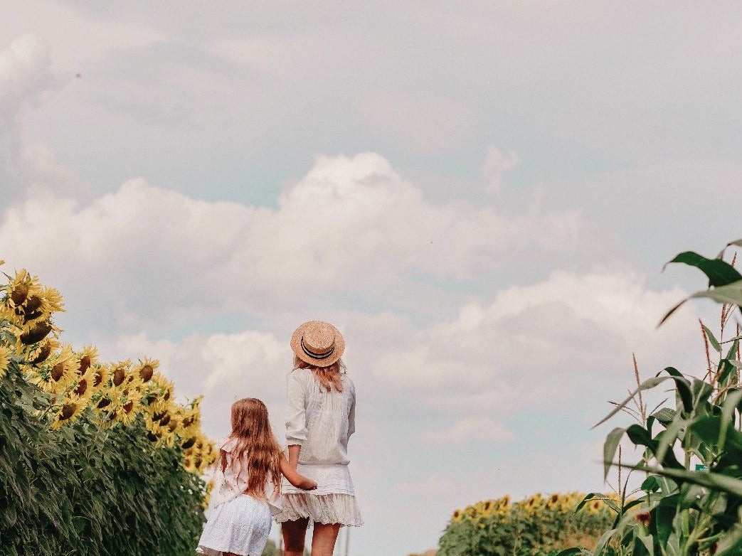 Cholesterol: Protect this Vital Compound