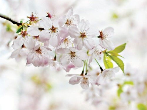 Optimizing Your Nutrition for Reproductive Health