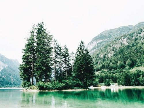 Men's Breast Health Impacted by Toxins and Medications