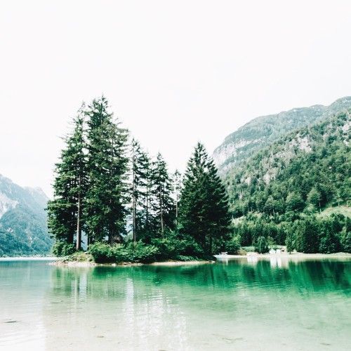 Men's Breast Health Impacted by Toxins and Medications