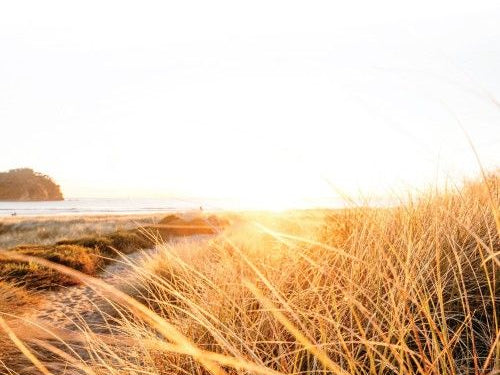 Hormonal Hot Flashes: Tips to Survive the Heat