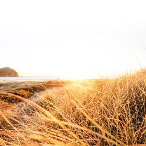 Hormonal Hot Flashes: Tips to Survive the Heat