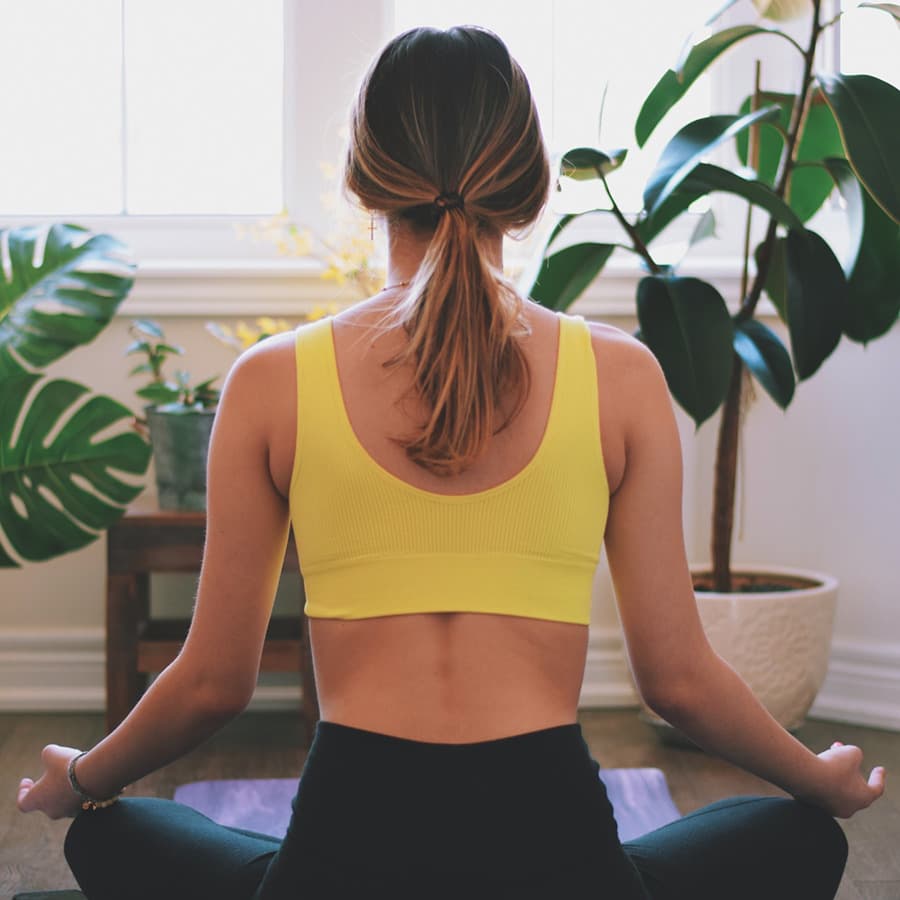 Support the Mighty Vagus Nerve