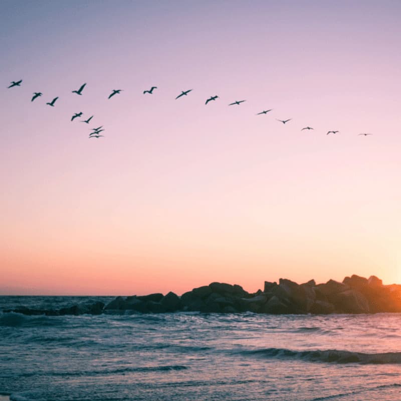 Stressful Times Require Stress Tolerance Support and Antioxidants