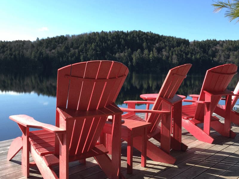 Theanine: Stress Management and Beyond