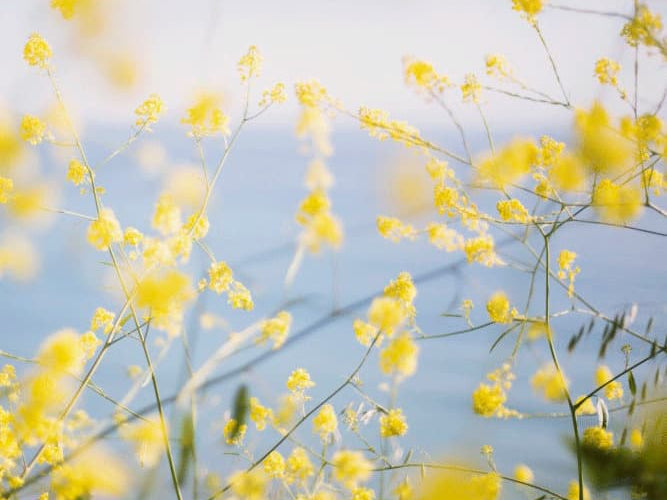 Fear & Stress Affect Your Wellbeing – More Than You May Realize