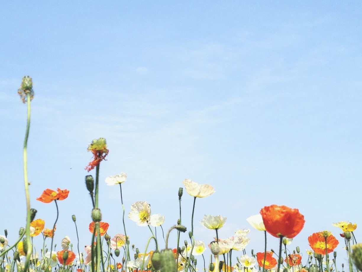 Bladder Control Depends on Healthy Choices As We Age