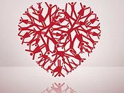 Sleep Problems Cause Inflammation and Early Death