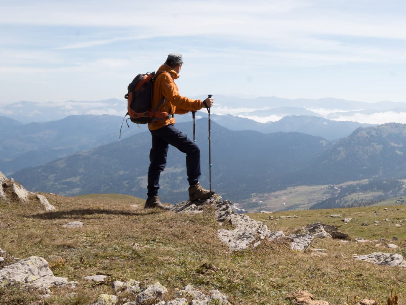 Boswellia Supports Joints, Bones, Metabolism, Brain, and More