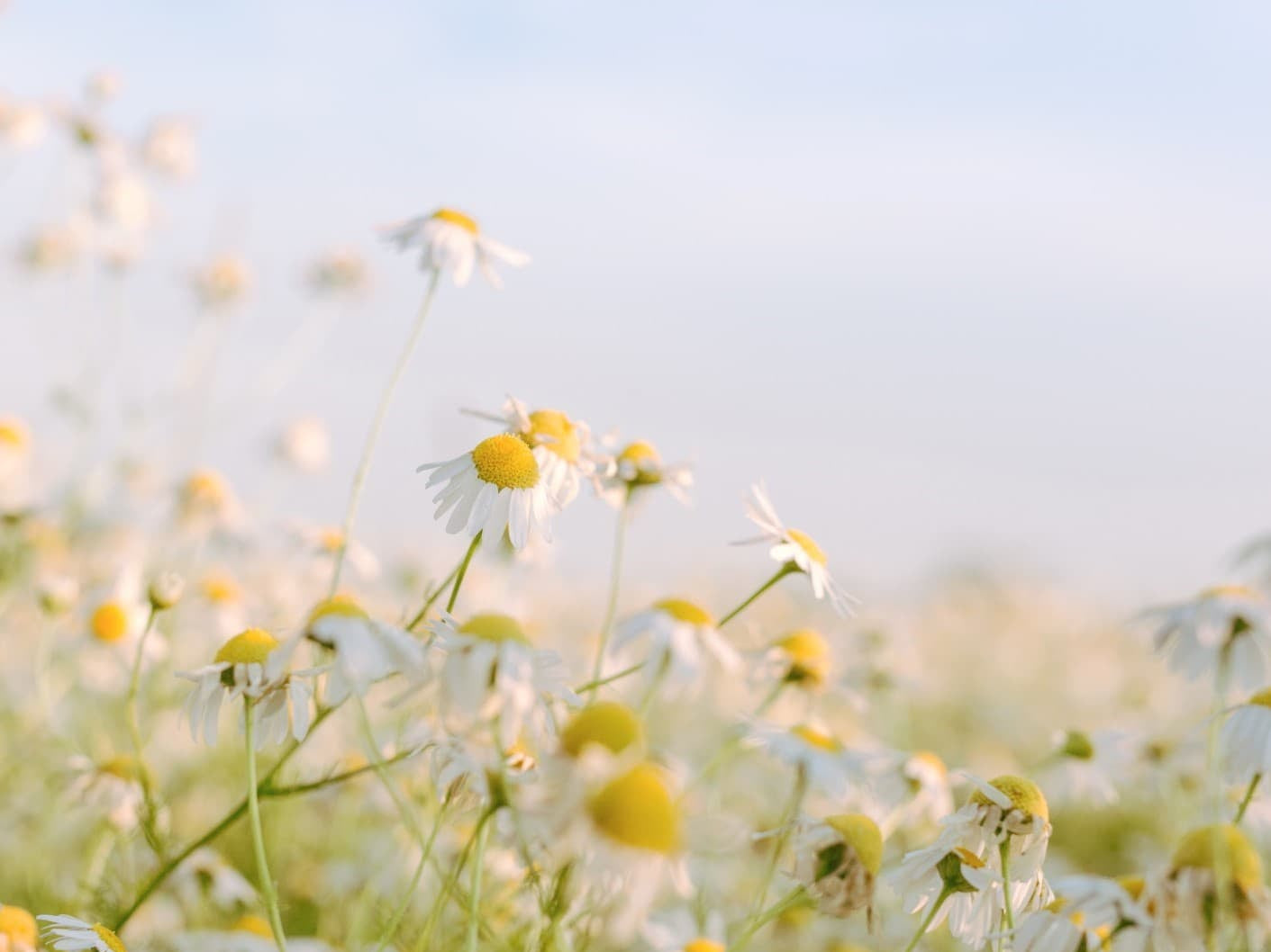 Mold Exposure Affects Brain Health, Focus, and Mood