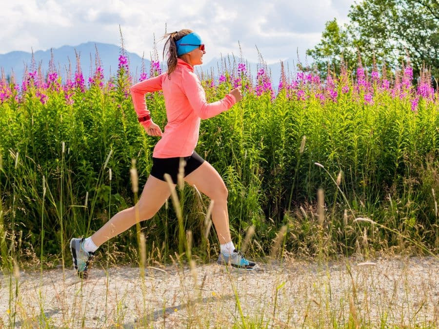 Cordyceps: Prized Mushroom for Brain, Lungs, Gut, and Endurance