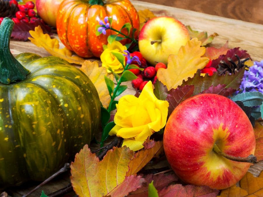 Best Supplements to Survive Holiday Foods, Travel, and Stress