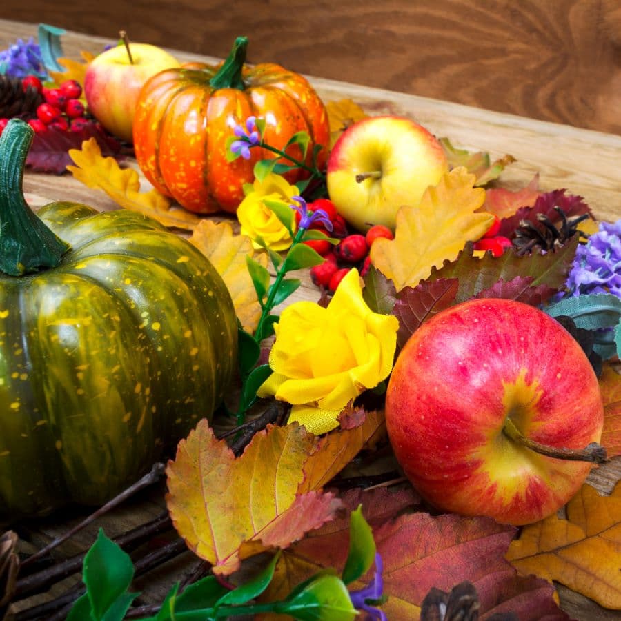 Best Supplements to Survive Holiday Foods, Travel, and Stress