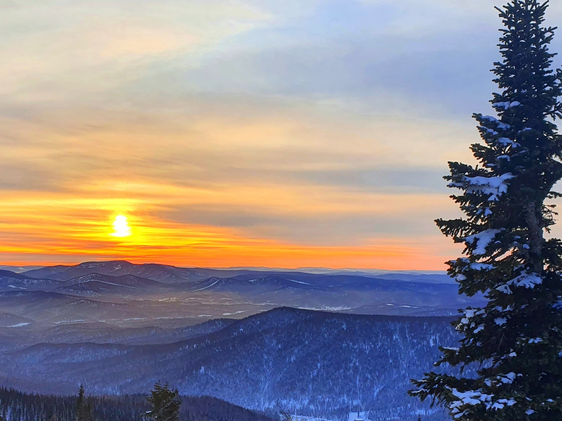 Melatonin, Mitochondria, Circadian Rhythms - Are You in Sync?