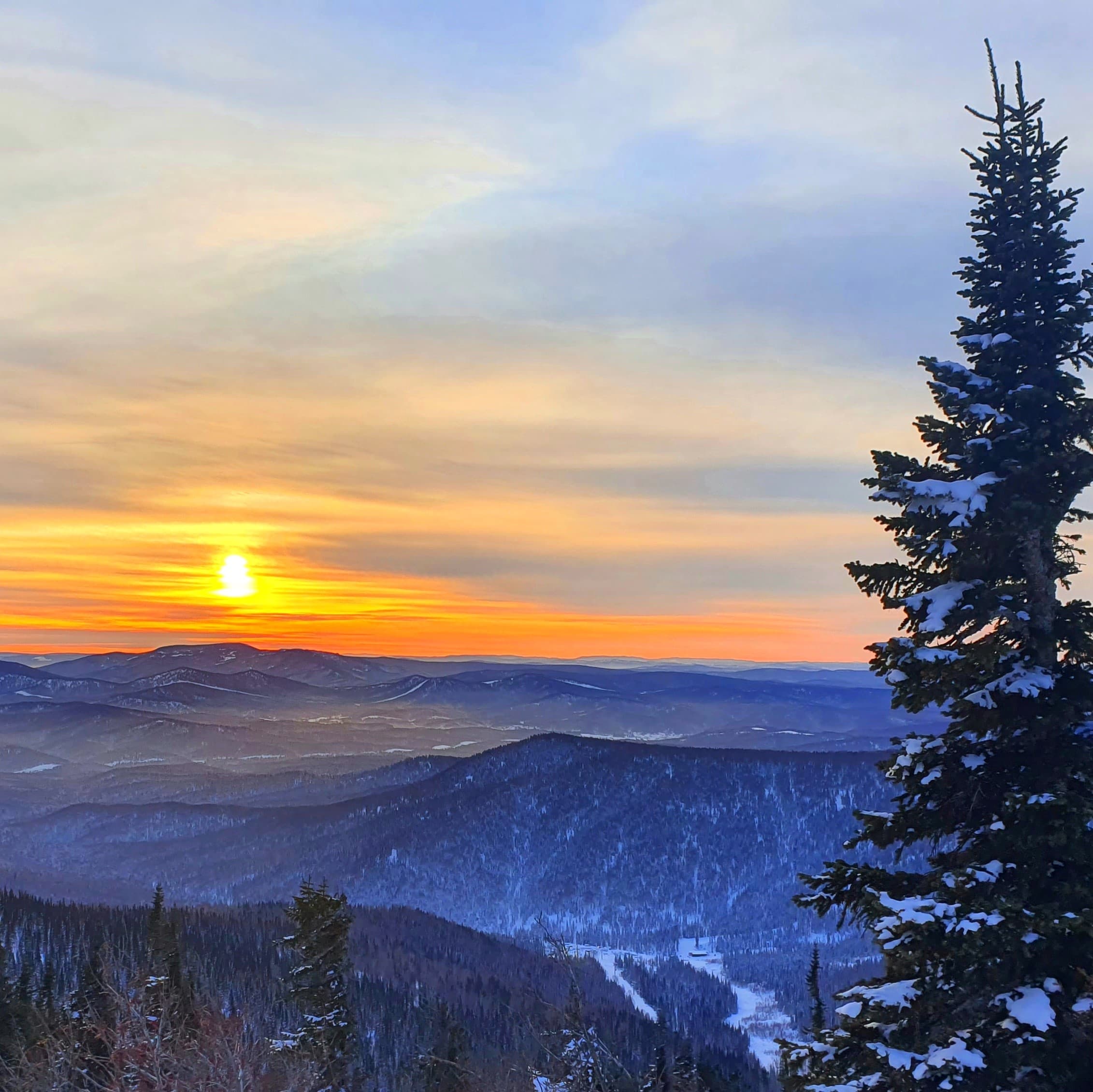 Melatonin, Mitochondria, Circadian Rhythms - Are You in Sync?