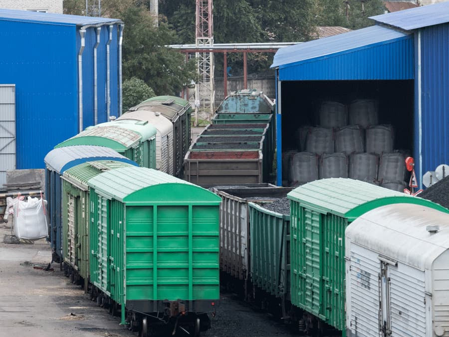 Essential Nutrients for Detoxification