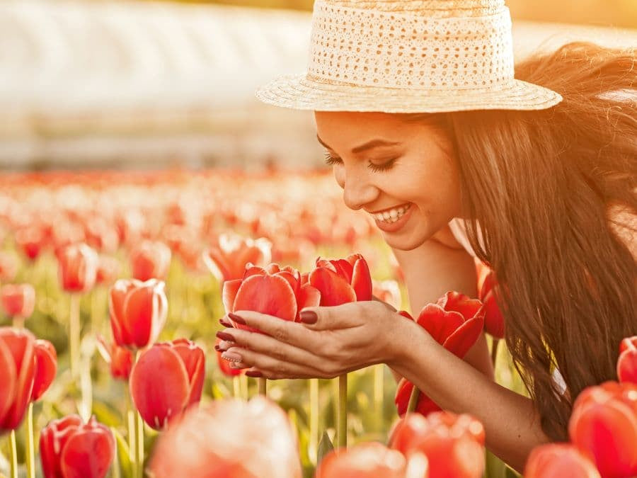 Vital Nutrients for Sense of Smell