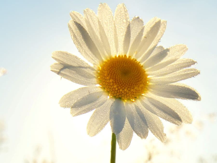 Supercharge Your Stress Management: Powerful Strategies for Hormonal Harmony