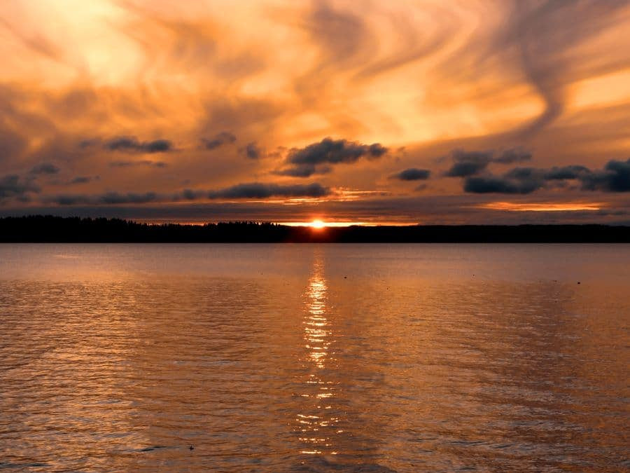 Air Pollution and How to Protect Your Health Naturally