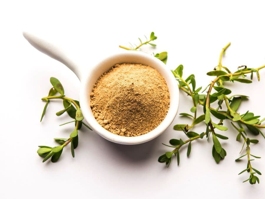 Bacopa Monnieri: Ancient Wisdom for Modern Cognitive Enhancement