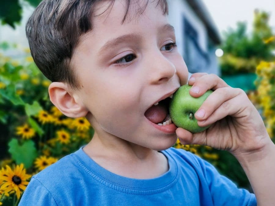 Candida and Cavities: Link Between Oral Microbiome Dysbiosis and Dental Decay